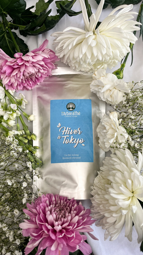 Oolong Hiver à Tokyo
