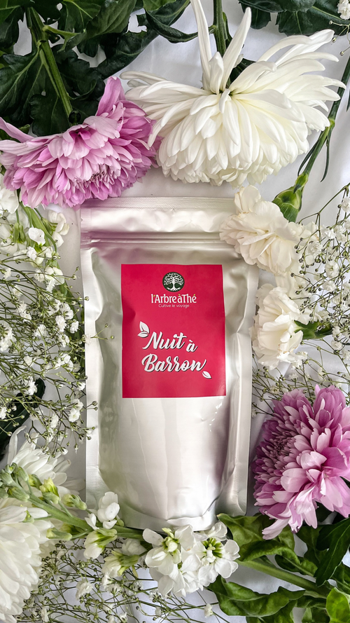 Infusion Nuit à Barrow