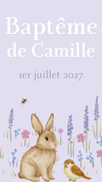 Petit Lapin